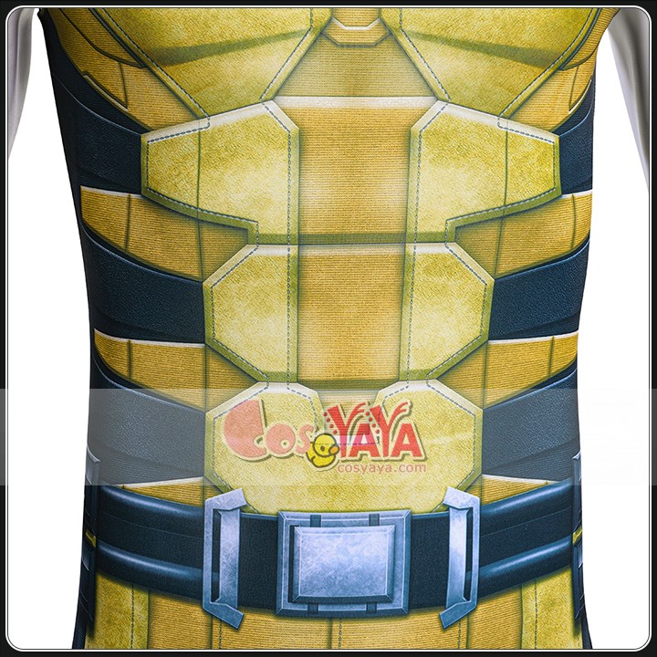 スクリーンアクキュレート コスチューム