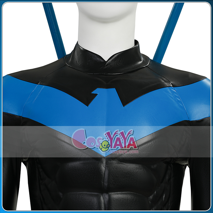 ナイトウィング 衣装